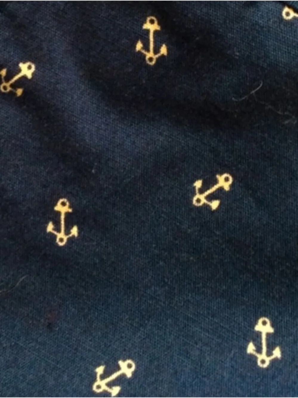 J.Crew Men’s Gramercy Nautical Chino Shorts
